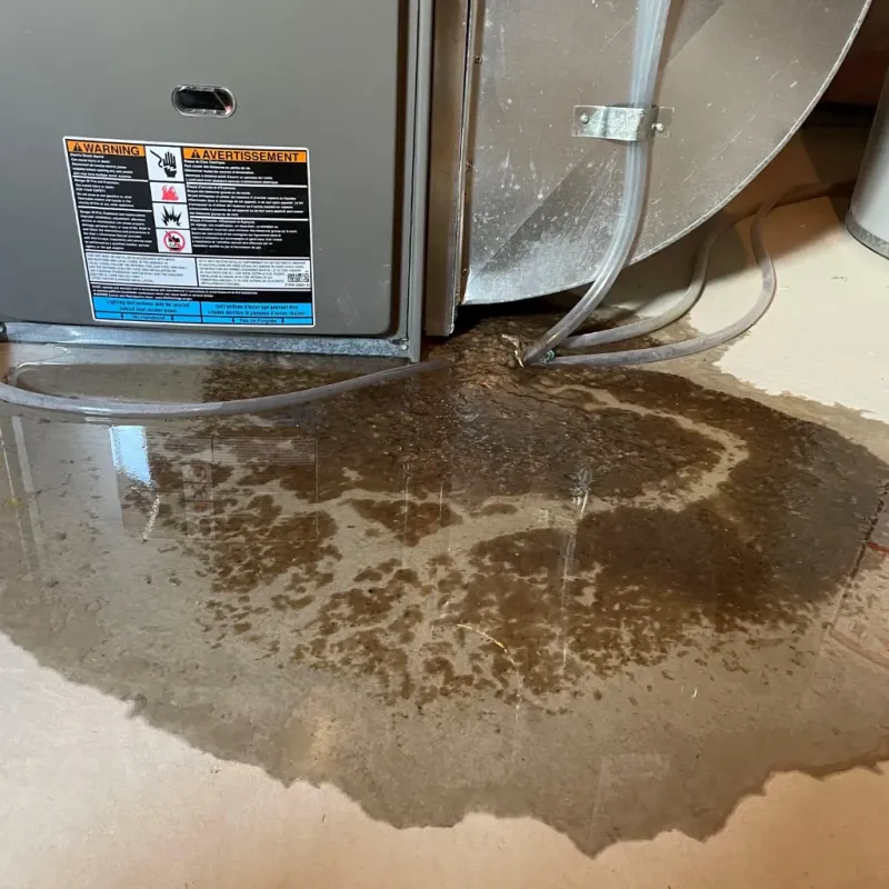 Appliance Leak Cleanup in Humboldt County, NV